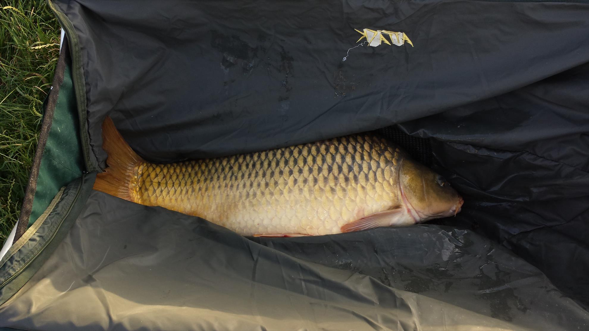 Moara Vlasiei 2 18 - 19 iunie 2016 - 20160618200200.jpg